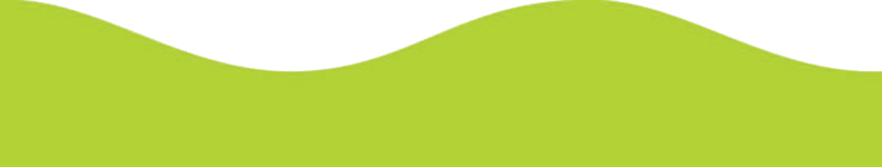 Lime Green Magnetic Border