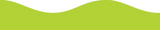Lime Green Magnetic Border