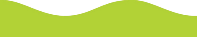 Lime Green Magnetic Border