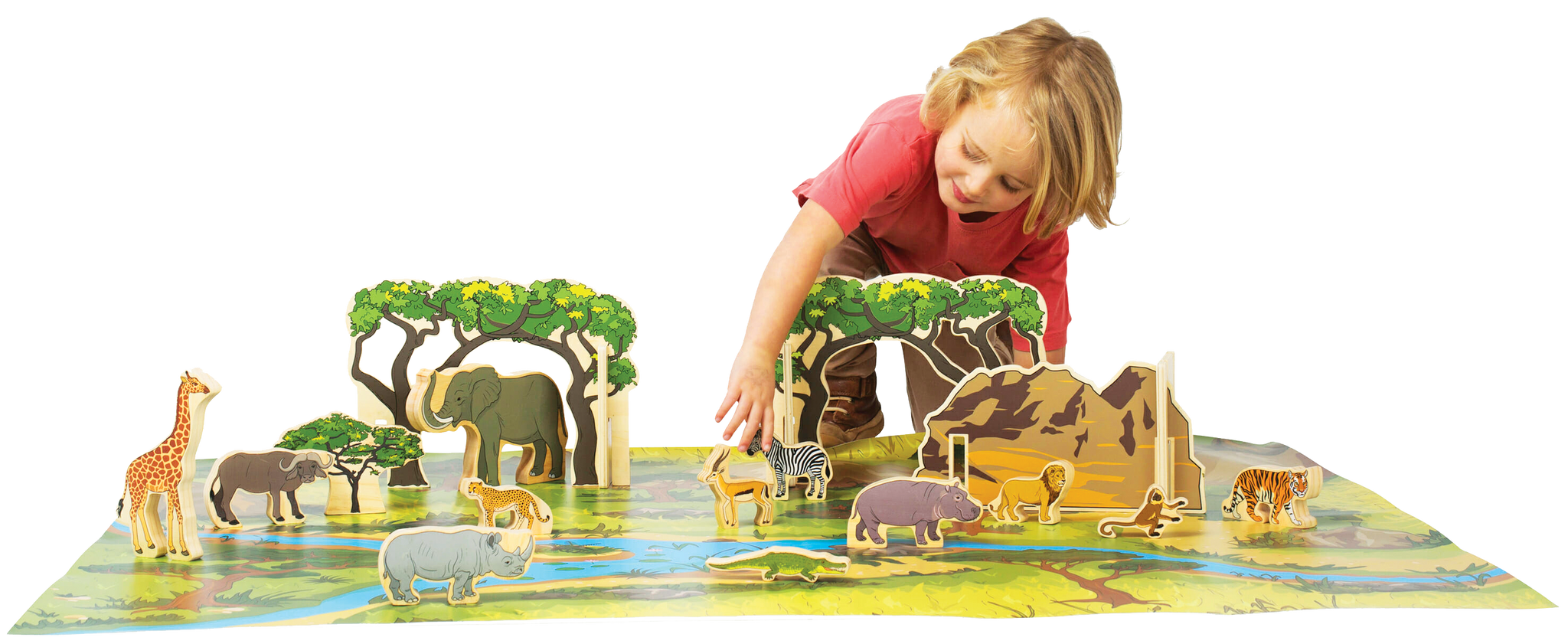 Animals in the Wild