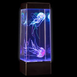 Jellyfish Lamp