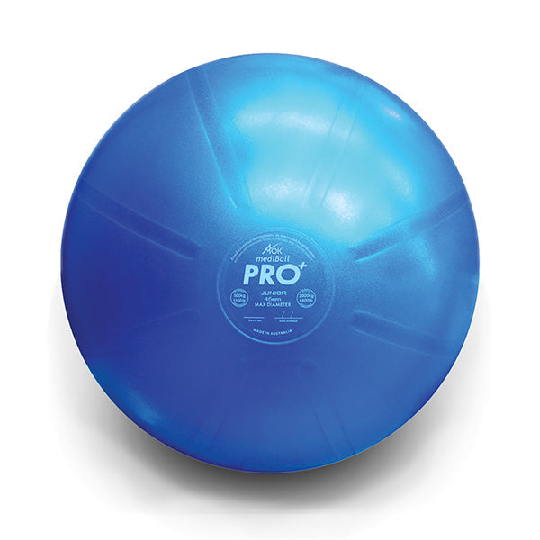 Seated Balance Ball