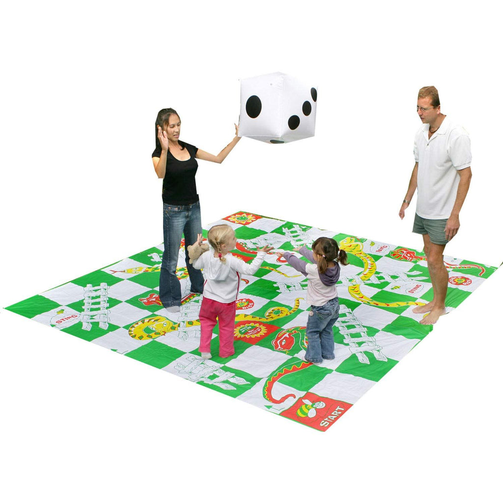 Giant Snakes and Ladders