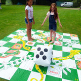 Giant Snakes and Ladders